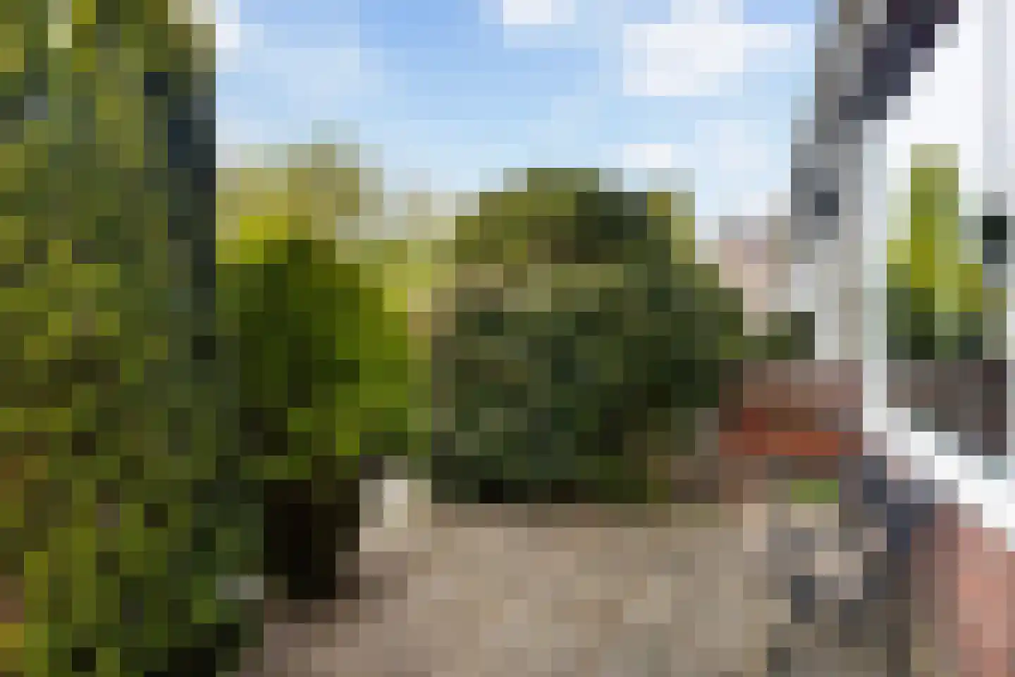 Lijsterbesstraat 4 Leeuwarden thumbnail 7