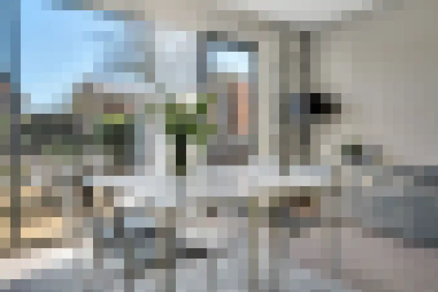 Lijsterbesstraat 4 Losser thumbnail 10