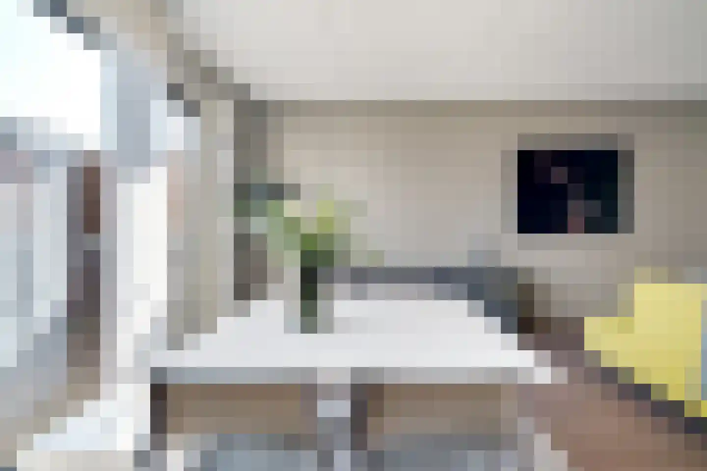 Lijsterbesstraat 4 Losser thumbnail 11