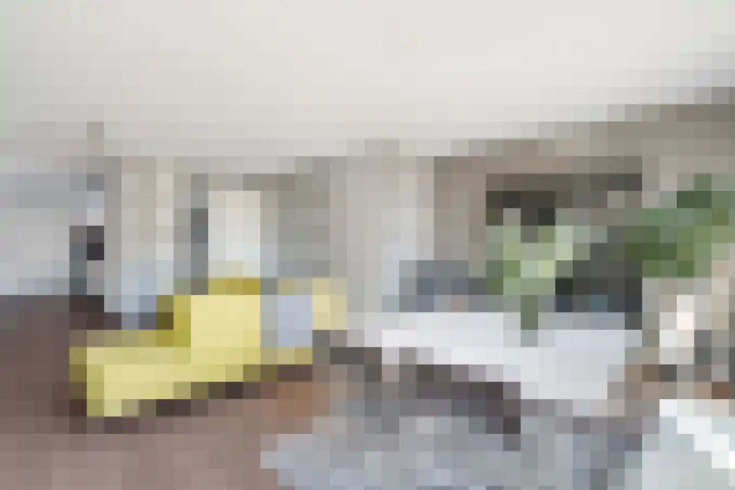 Lijsterbesstraat 4 Losser thumbnail 12