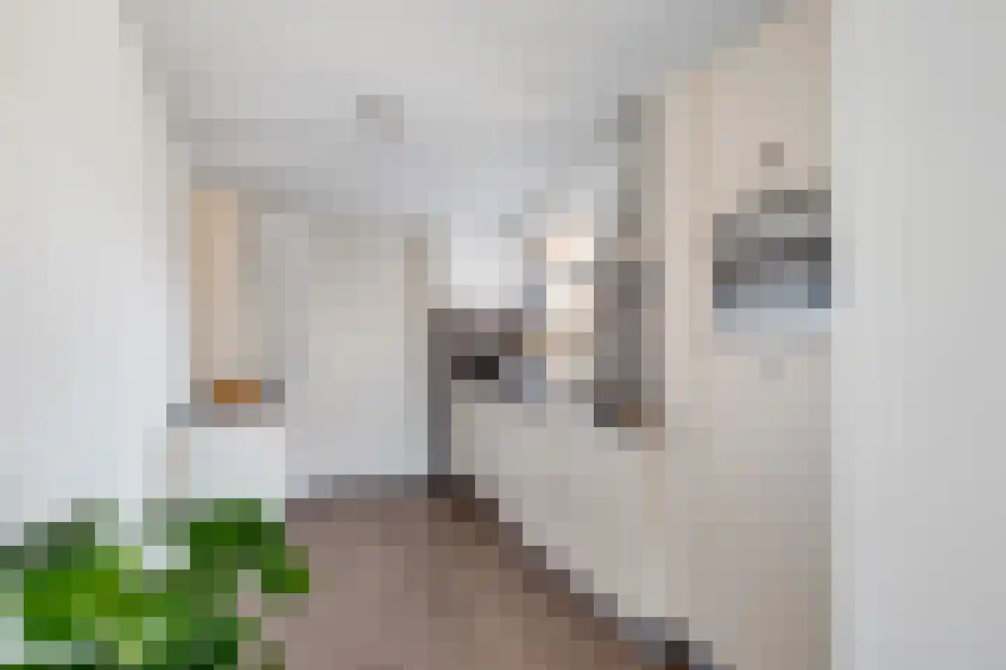 Lijsterbesstraat 4 Losser thumbnail 15