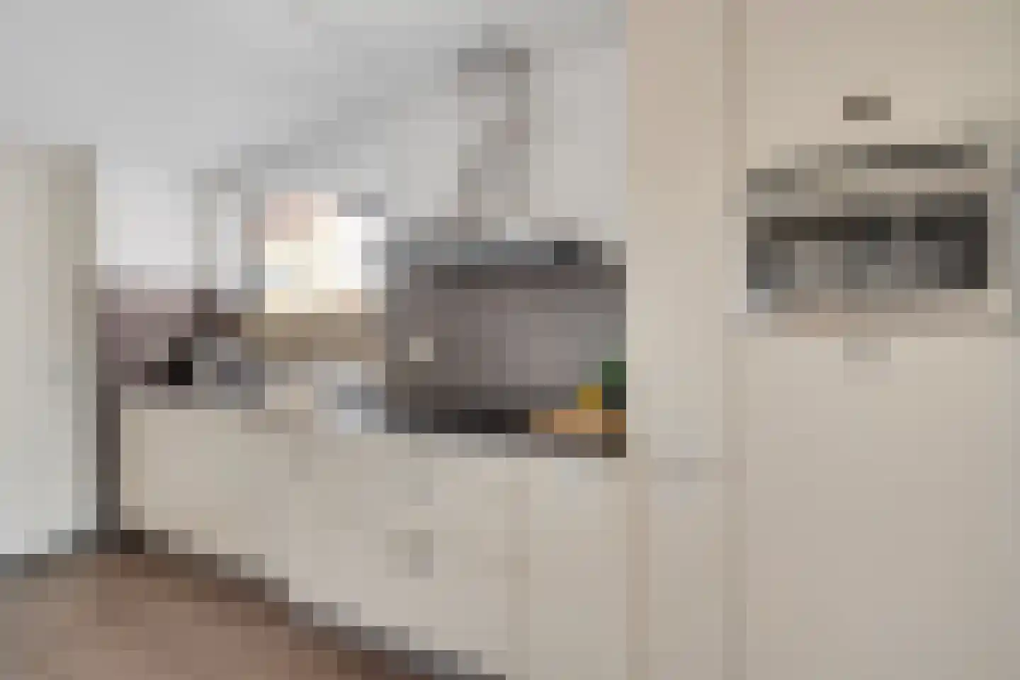 Lijsterbesstraat 4 Losser thumbnail 18