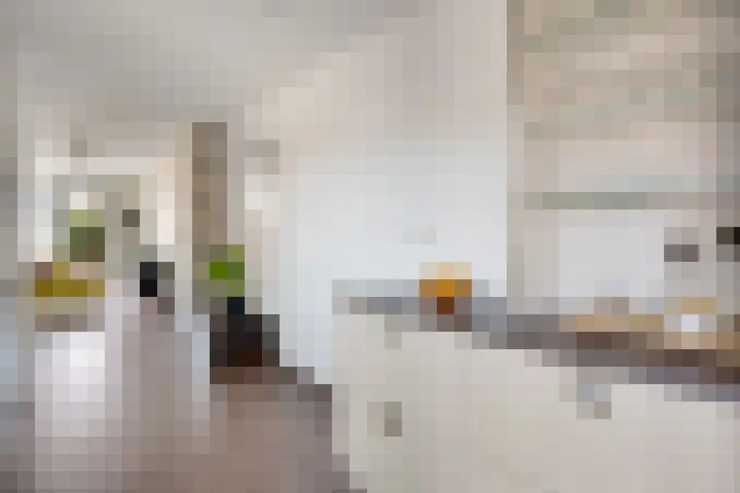 Lijsterbesstraat 4 Losser thumbnail 19