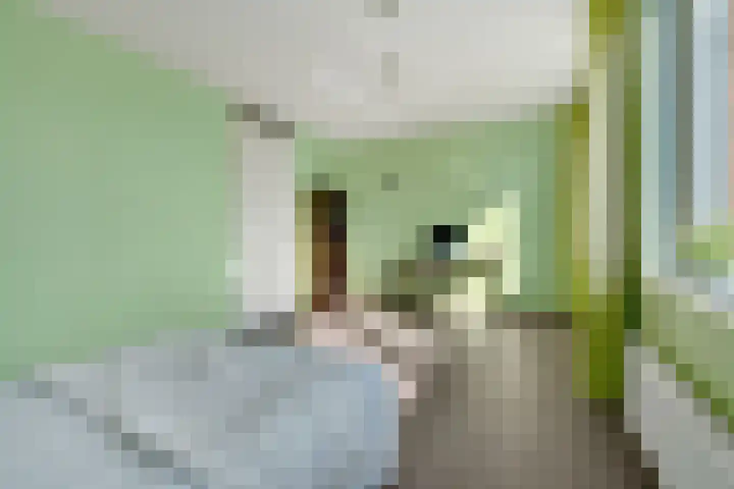 Lijsterbesstraat 4 Losser thumbnail 23