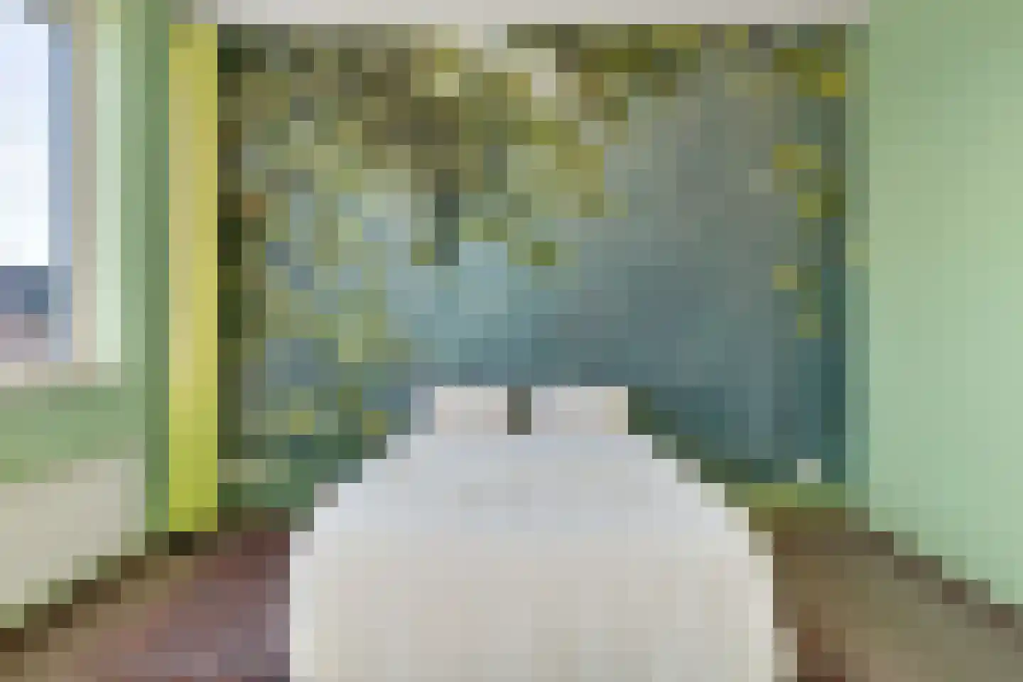 Lijsterbesstraat 4 Losser thumbnail 24