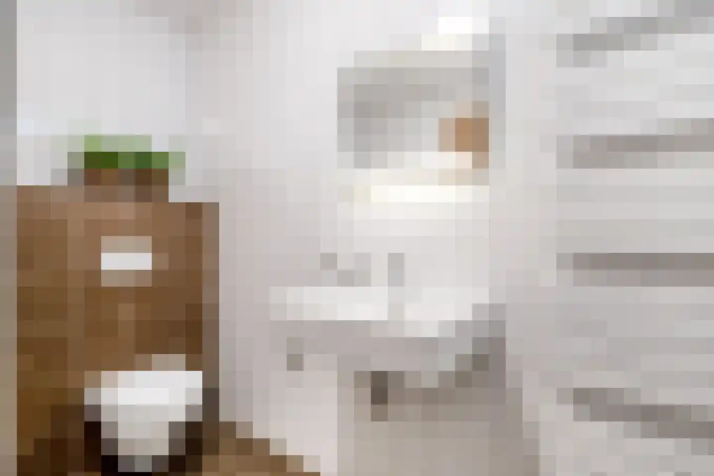 Lijsterbesstraat 4 Losser thumbnail 27