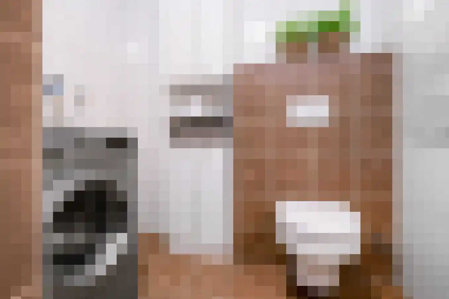 Lijsterbesstraat 4 Losser thumbnail 28