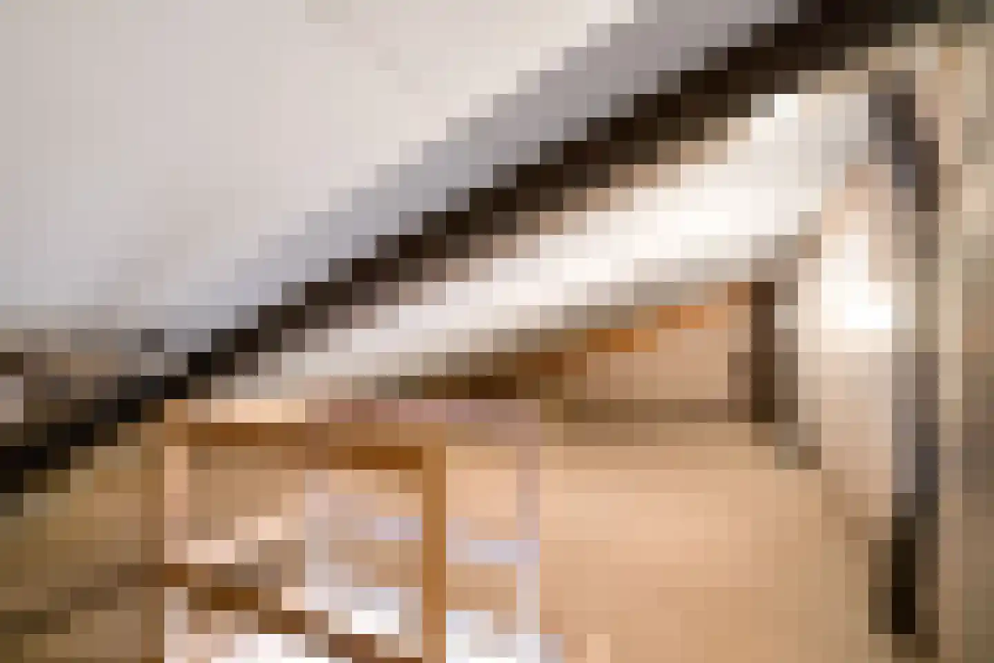 Lijsterbesstraat 4 Losser thumbnail 33