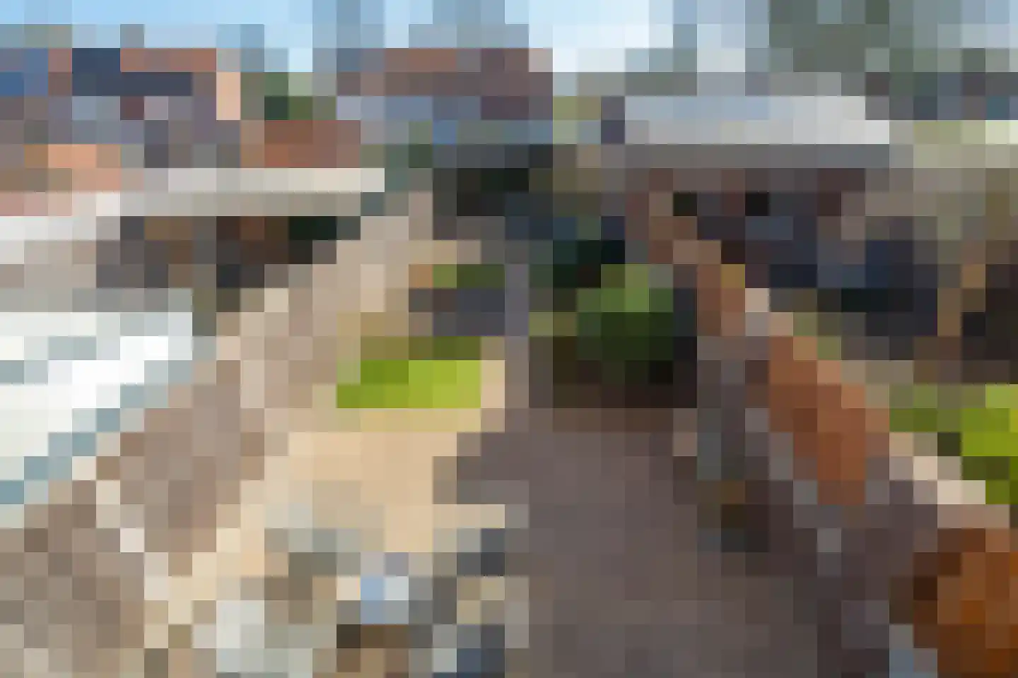 Lijsterbesstraat 4 Losser thumbnail 36