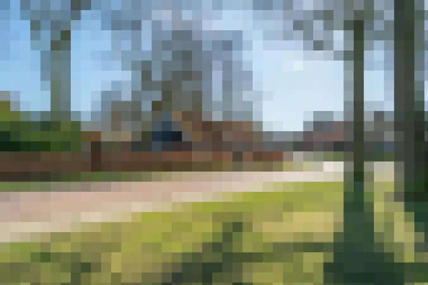 Lijsterbesstraat 4 Losser thumbnail 41