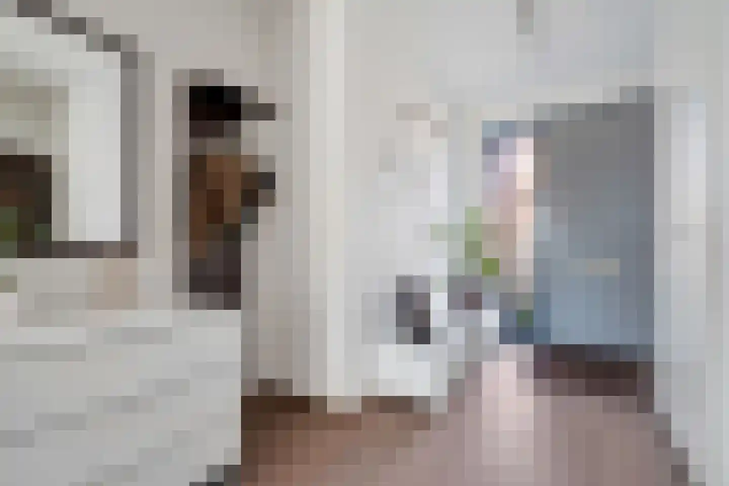 Lijsterbesstraat 4 Losser thumbnail 5