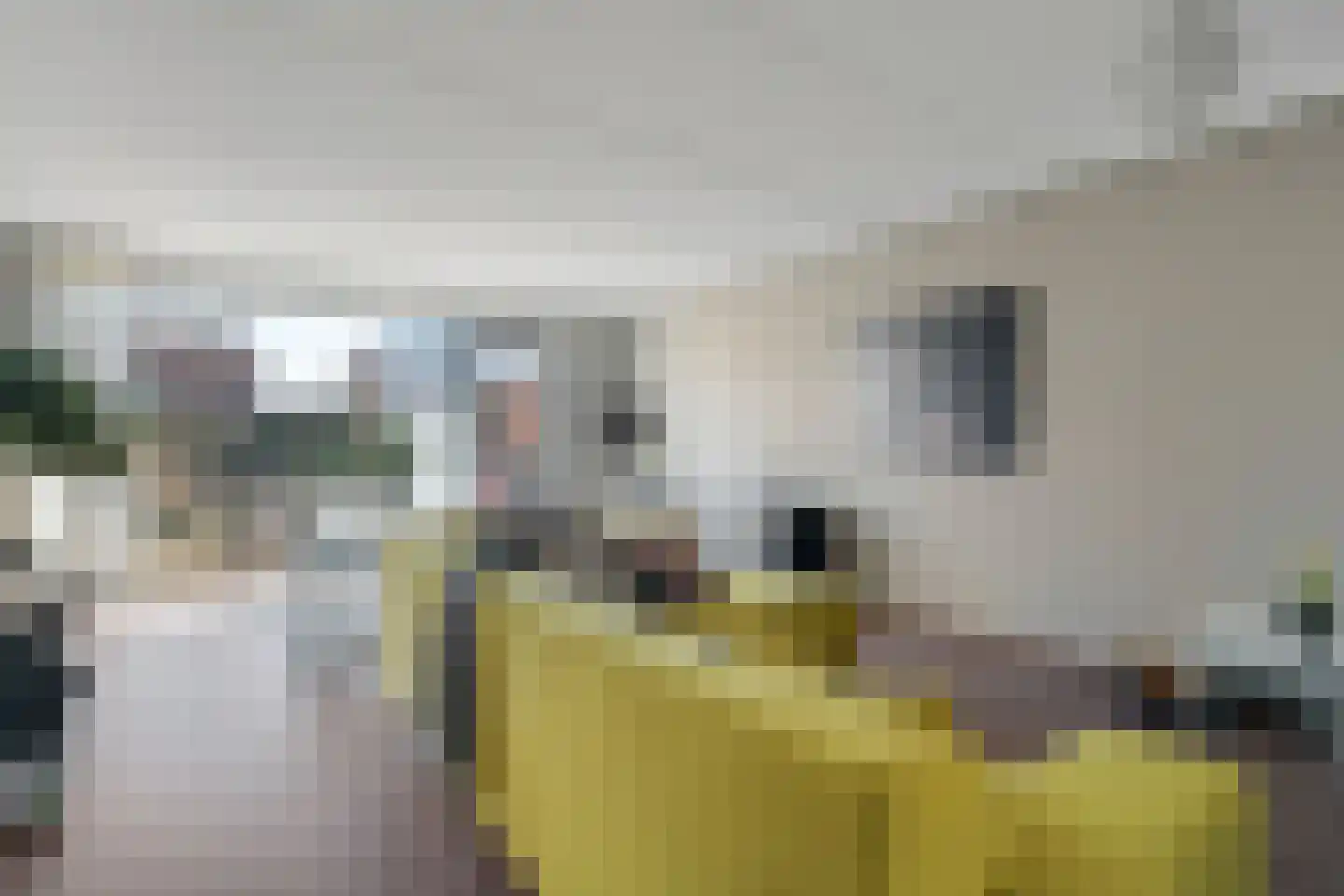 Lijsterbesstraat 4 Losser thumbnail 7