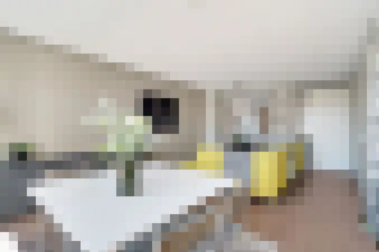 Lijsterbesstraat 4 Losser thumbnail 9