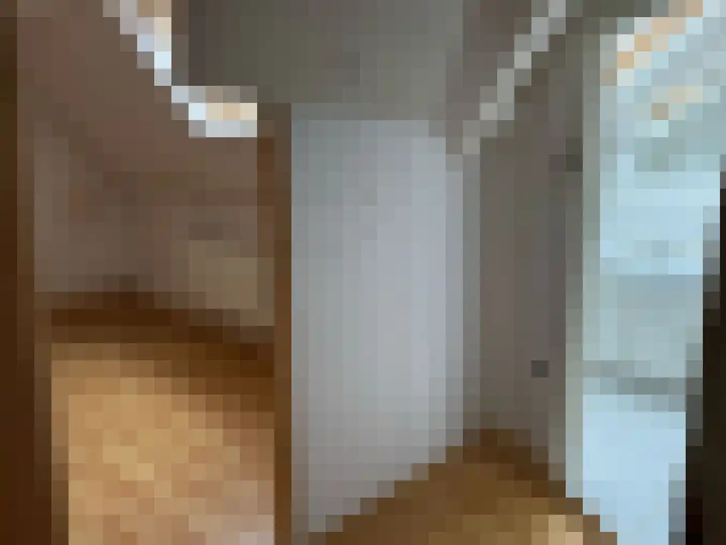 Lijsterbesstraat 4 Zaandam thumbnail 22