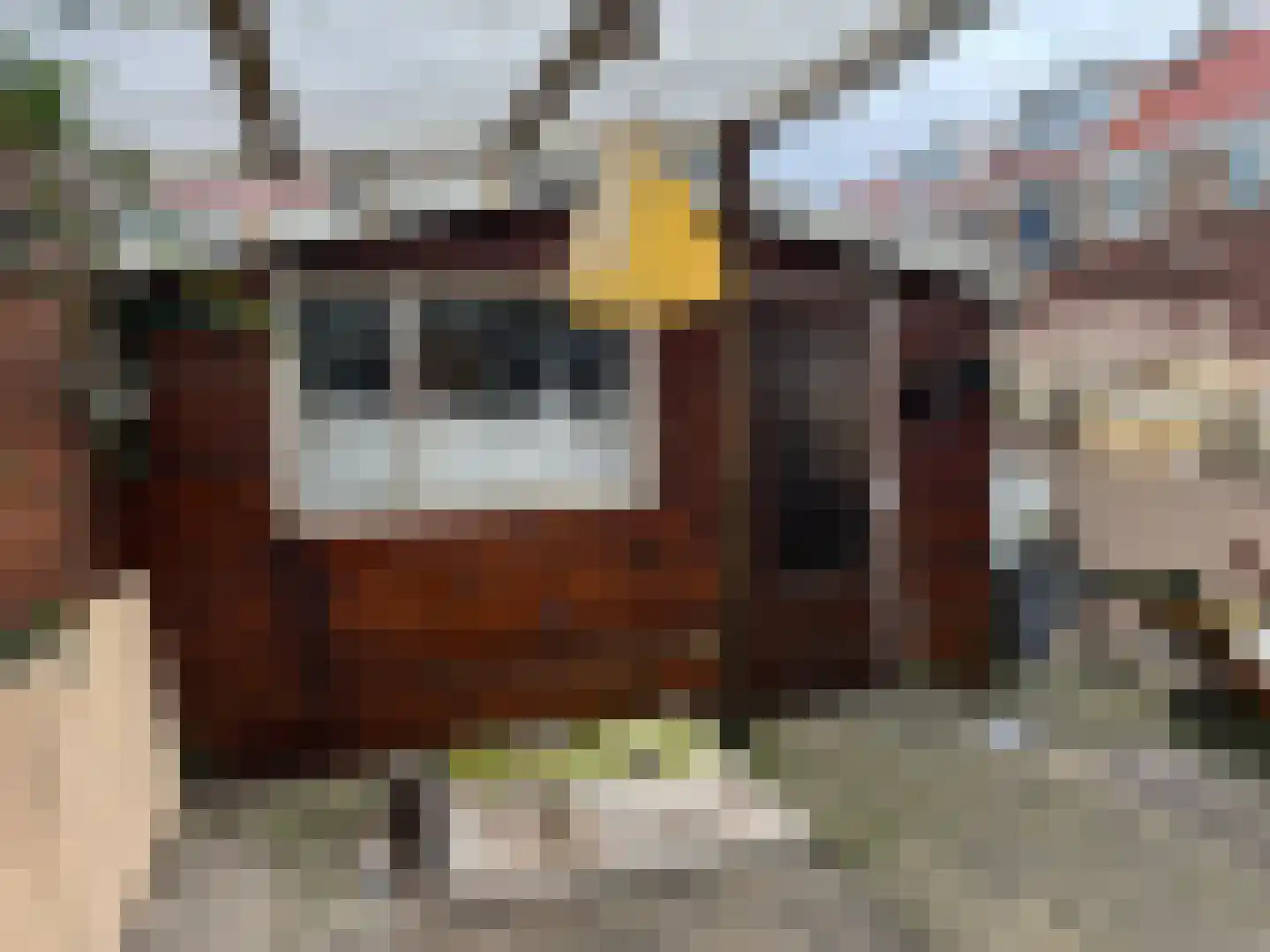 Lijsterbesstraat 4 Zaandam thumbnail 31