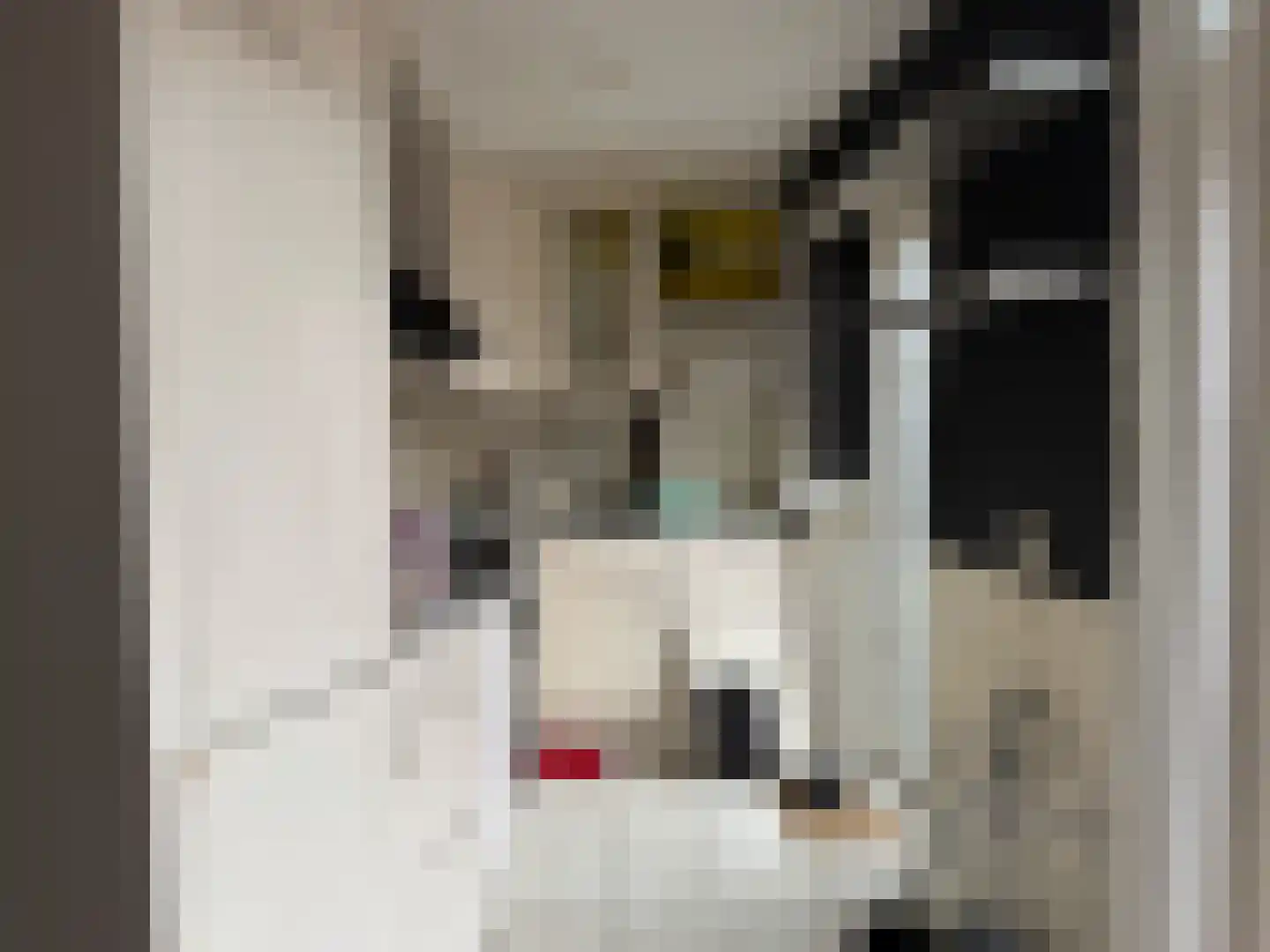Lijsterbesstraat 4 Zaandam thumbnail 7
