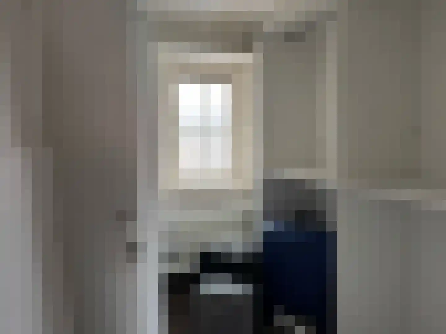 Lijsterbesstraat 4 Zaandam thumbnail 8