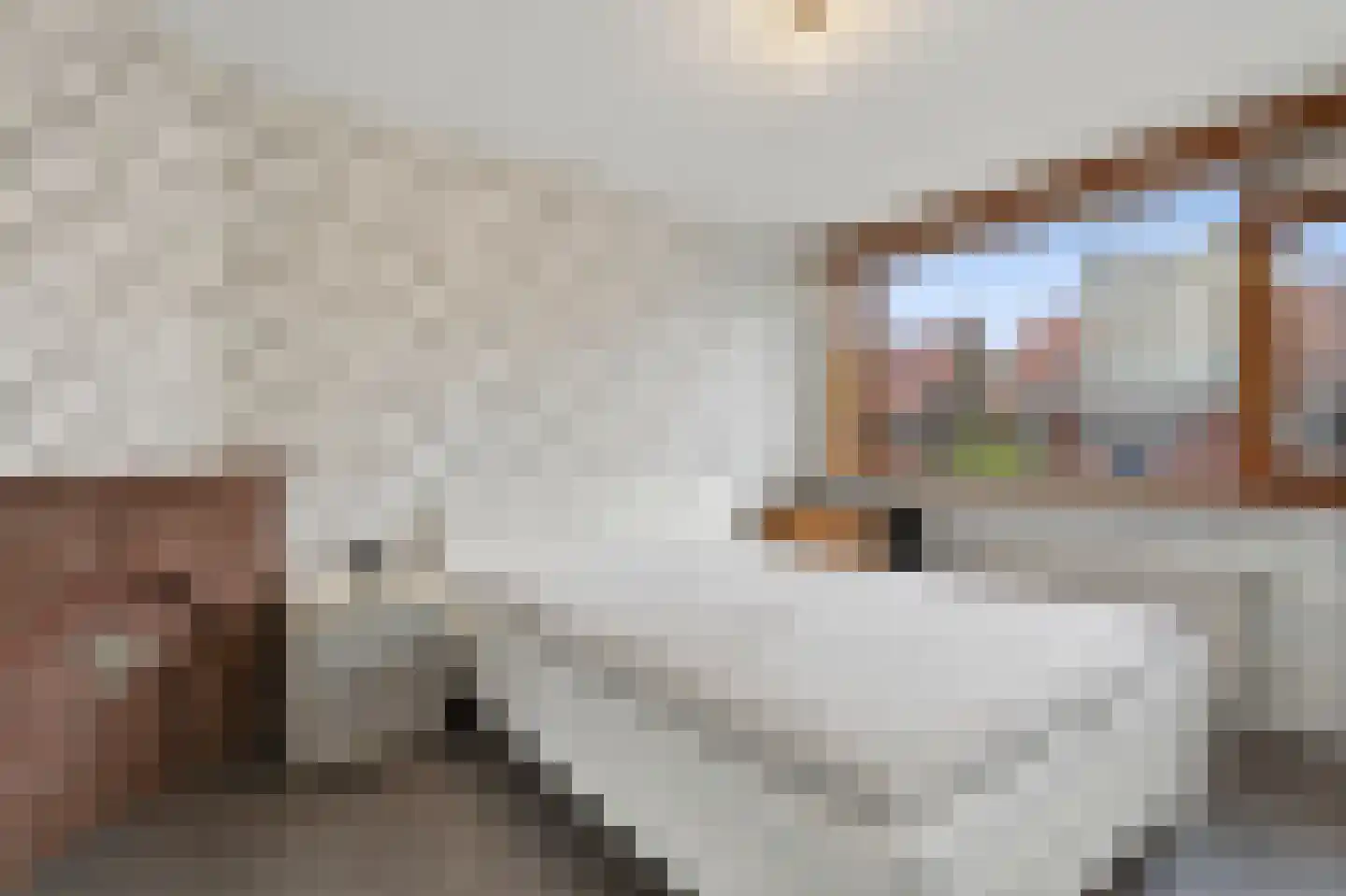 Lijsterbesstraat 40 Zaandam thumbnail 12