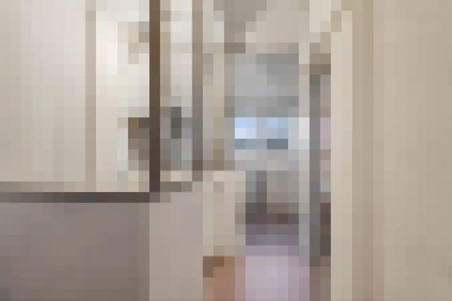 Lijsterbesstraat 40 Zaandam thumbnail 16