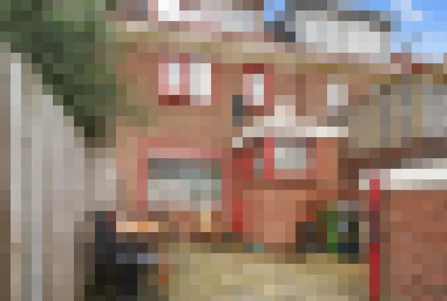 Lijsterbesstraat 40 Zaandam thumbnail 20