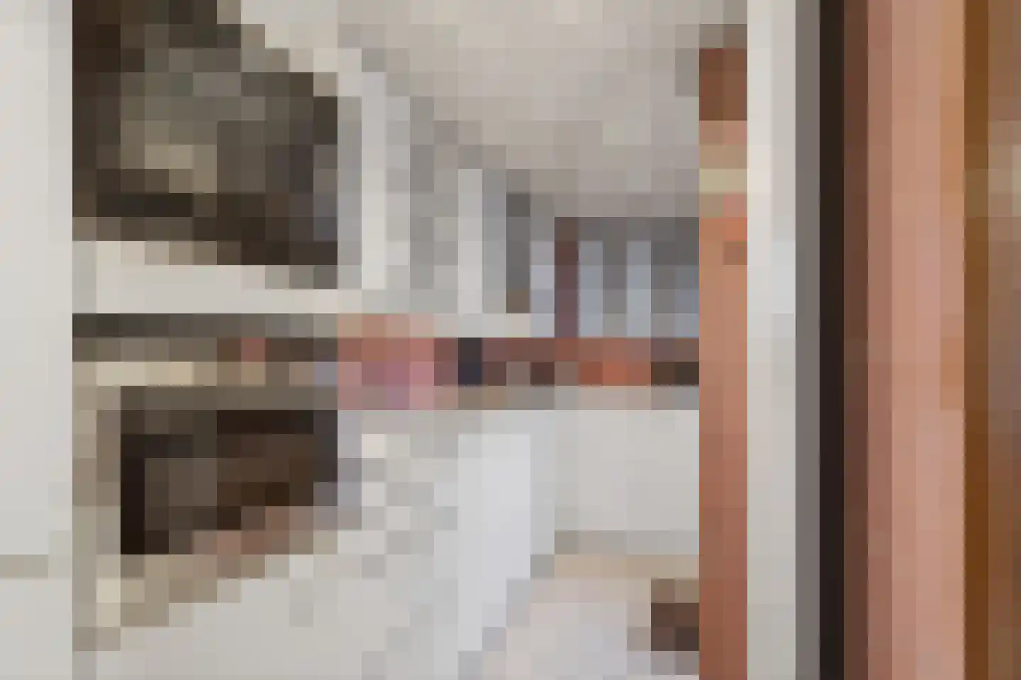 Lijsterbesstraat 40 Zaandam thumbnail 6