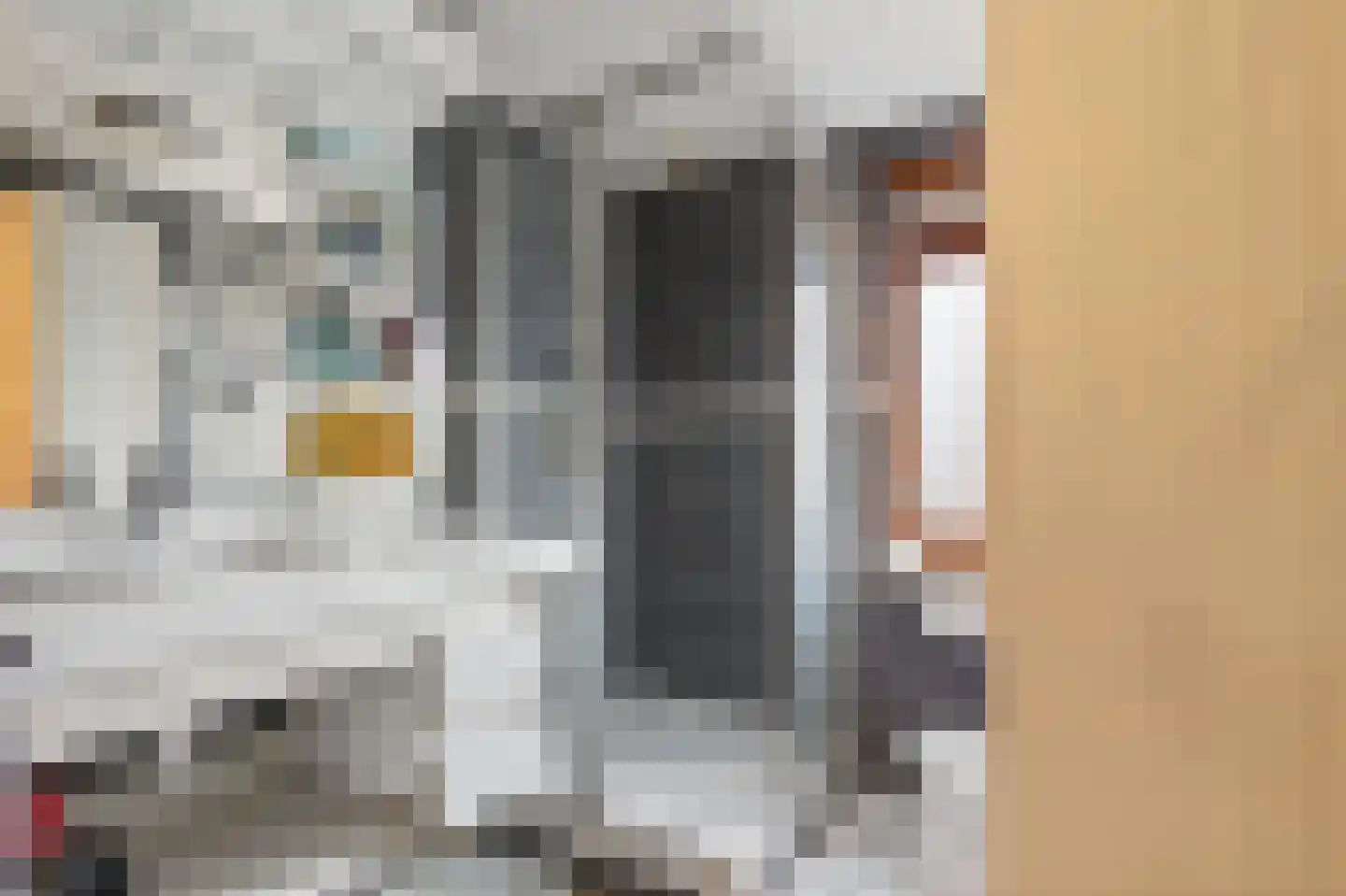 Lijsterbesstraat 40 Zaandam thumbnail 9