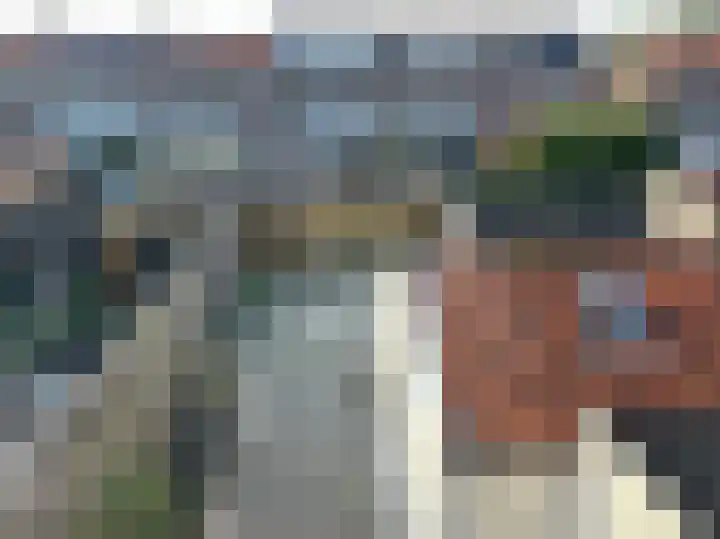 Lijsterbesstraat 46 Waddinxveen thumbnail 16