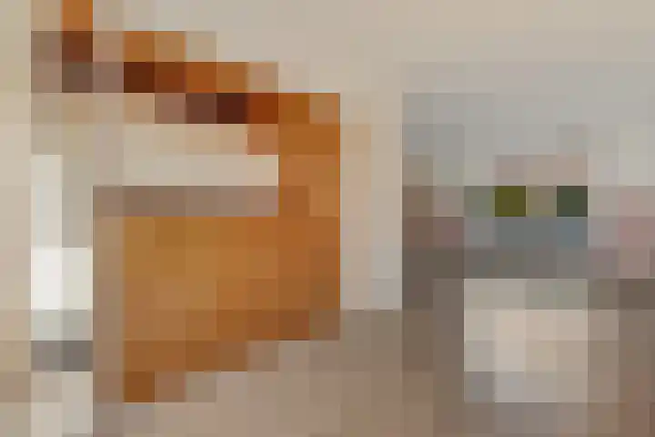 Lijsterbesstraat 46 Waddinxveen thumbnail 5