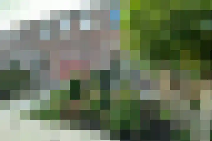 Lijsterbesstraat 48 Waddinxveen thumbnail 19
