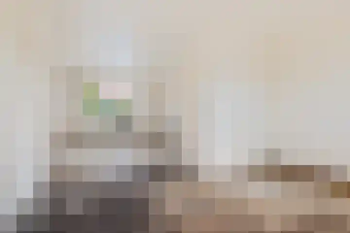 Lijsterbesstraat 48 Waddinxveen thumbnail 8