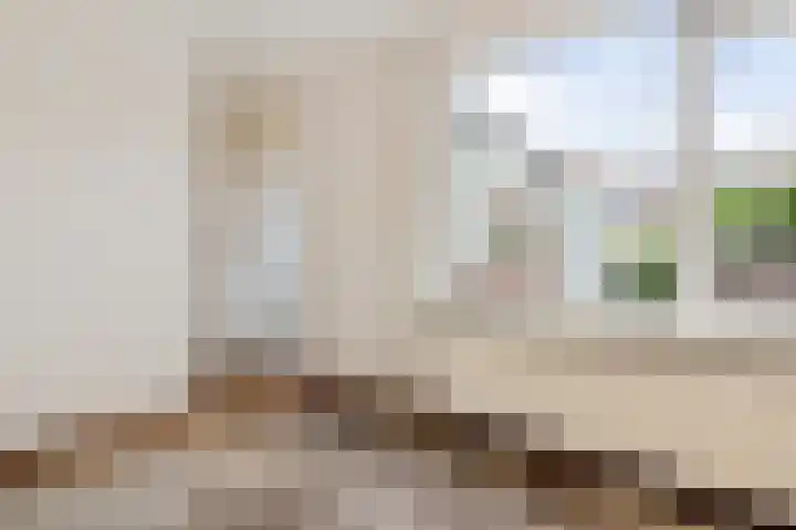 Lijsterbesstraat 48 Waddinxveen thumbnail 9