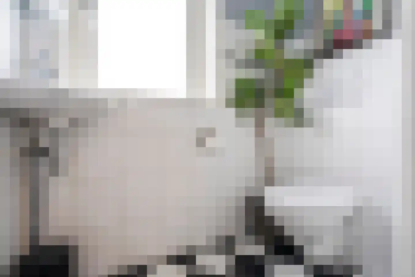 Lijsterbesstraat 48 Zaandam thumbnail 19