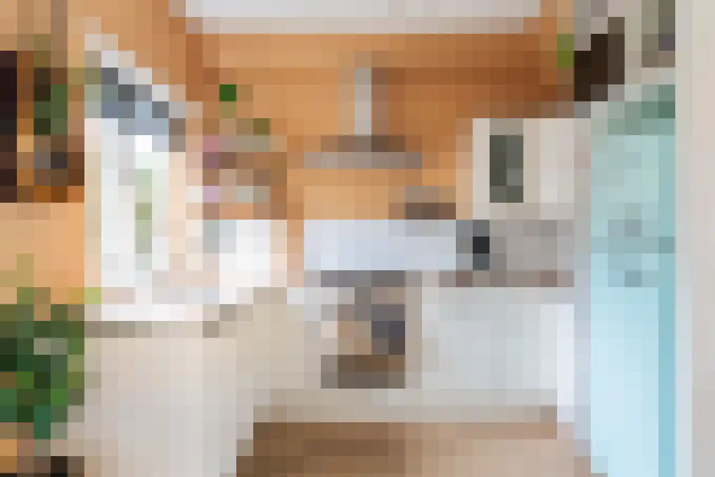 Lijsterbesstraat 48 Zaandam thumbnail 4