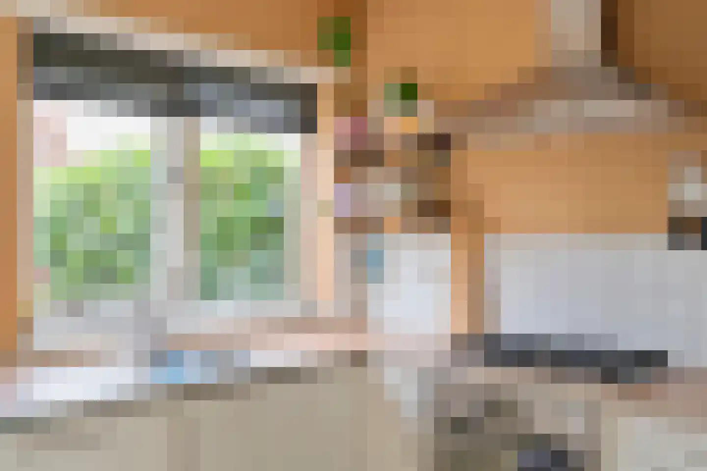 Lijsterbesstraat 48 Zaandam thumbnail 5