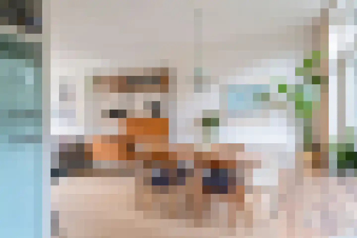 Lijsterbesstraat 48 Zaandam thumbnail 6