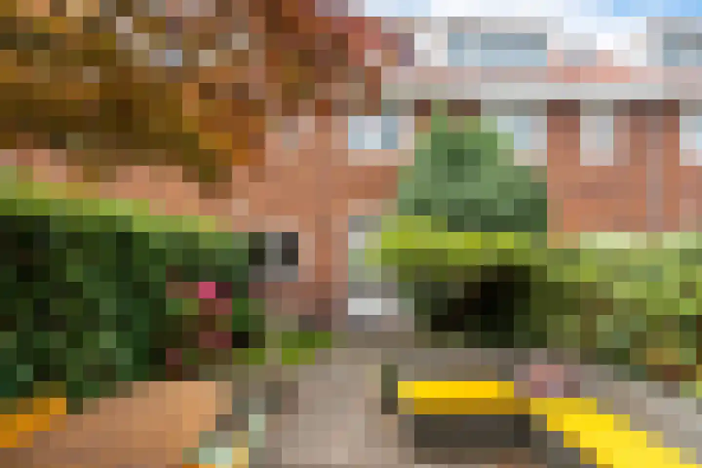 Lijsterbesstraat 48 Zaandam thumbnail 8