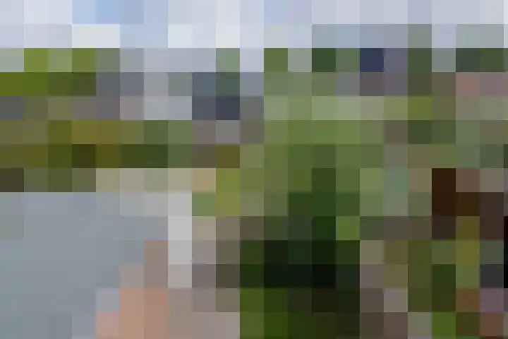 Lijsterbesstraat 5 Beek thumbnail 19