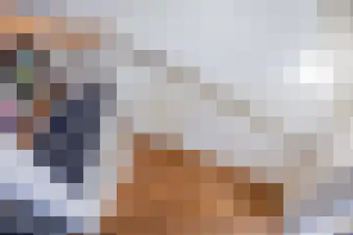 Lijsterbesstraat 5 Beek thumbnail 28
