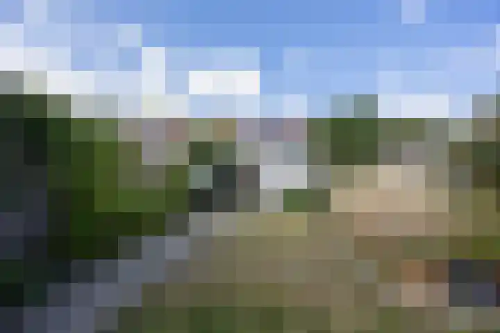 Lijsterbesstraat 5 Beek thumbnail 33