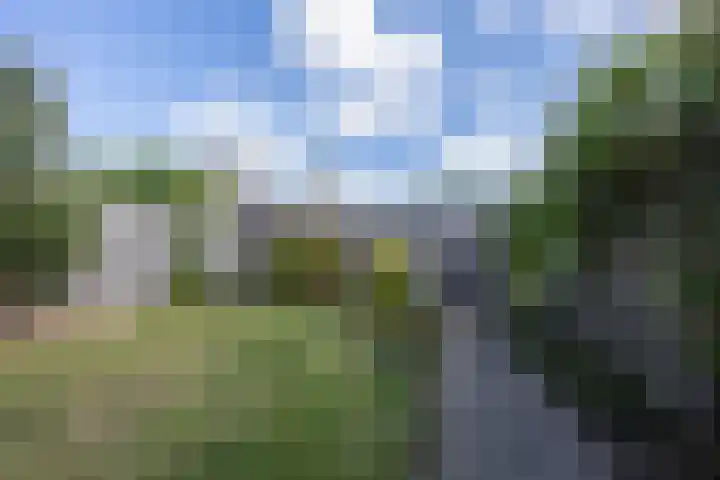 Lijsterbesstraat 5 Beek thumbnail 34