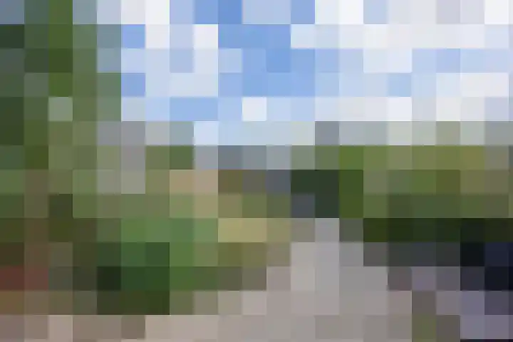 Lijsterbesstraat 5 Beek thumbnail 35