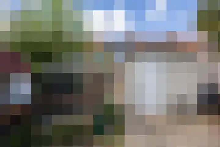 Lijsterbesstraat 5 Beek thumbnail 36