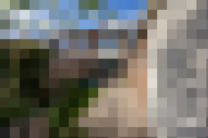 Lijsterbesstraat 5 Beek thumbnail 37