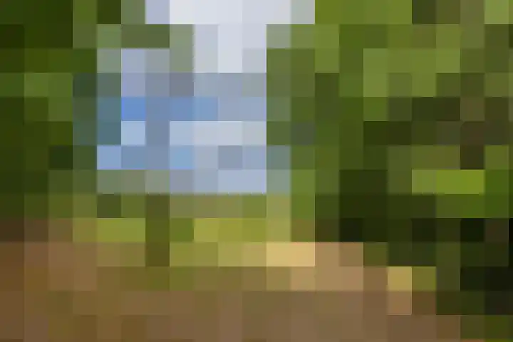 Lijsterbesstraat 5 Beek thumbnail 40