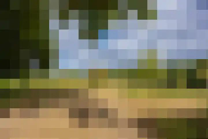 Lijsterbesstraat 5 Beek thumbnail 41