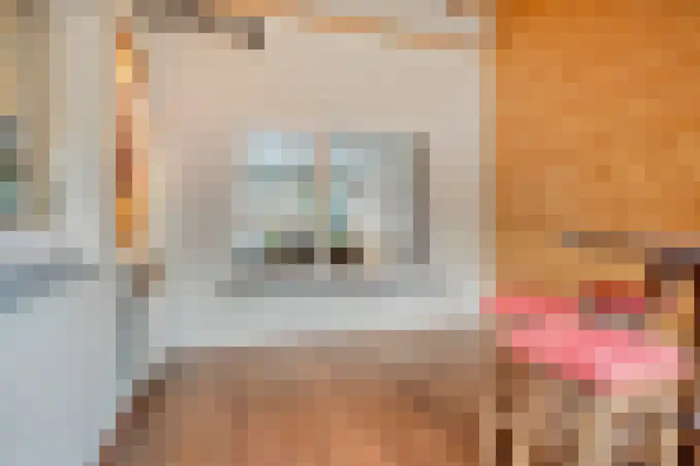 Lijsterbesstraat 5 Emmeloord thumbnail 12