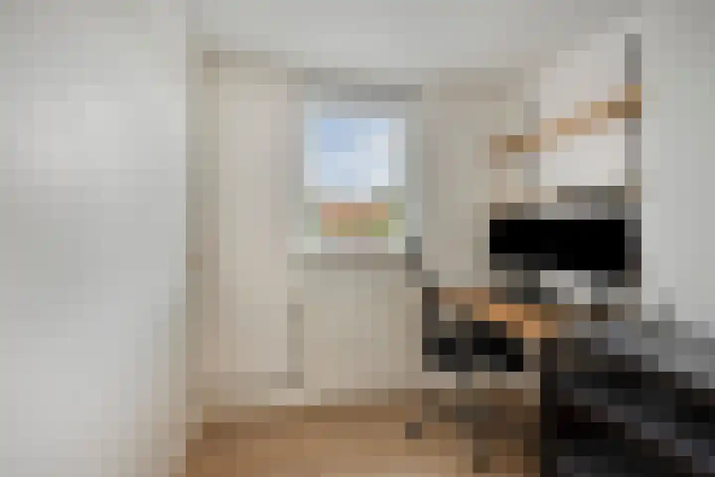 Lijsterbesstraat 5 Emmeloord thumbnail 22