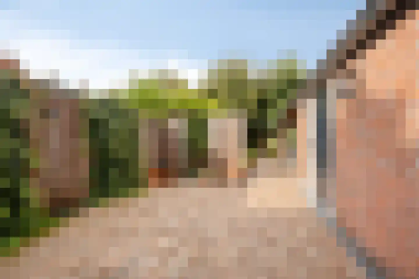 Lijsterbesstraat 5 Emmeloord thumbnail 23