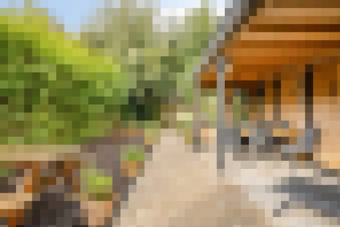 Lijsterbesstraat 5 Emmeloord thumbnail 25