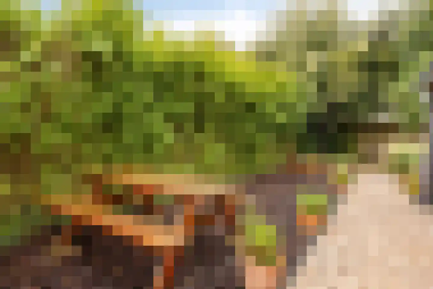 Lijsterbesstraat 5 Emmeloord thumbnail 26